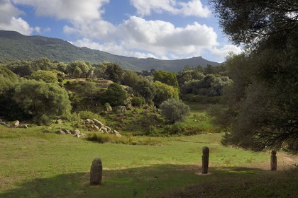 France, Corse-du-Sud (2A), site préhistorique de Filitosa, alignement de statues menhirs et l'oppidum en arrière plan