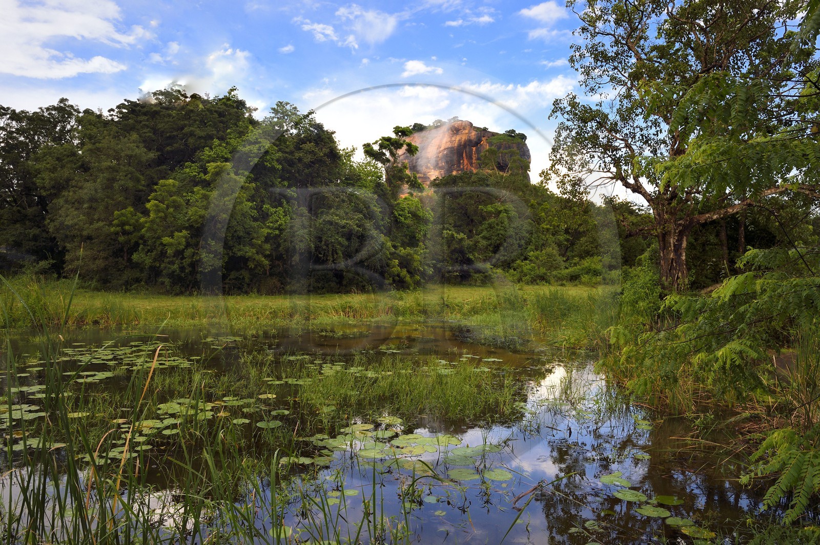 Sri Lanka, province centrale, district de Matale, Sigiriya, ville ancienne de Sigiriya classée patrimoine mondial de l'UNESCO, Rocher du Lion