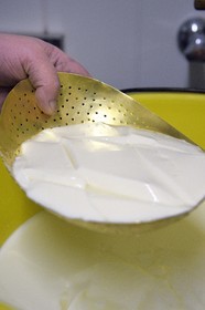France, Haut-Rhin (68), Wasserbourg, Ferme-auberge Buchwald, le marcaire Michel Wehrey à la fabrication du fromage de munster AOP (lait de vache), le siesskass fromage frais d’un jour