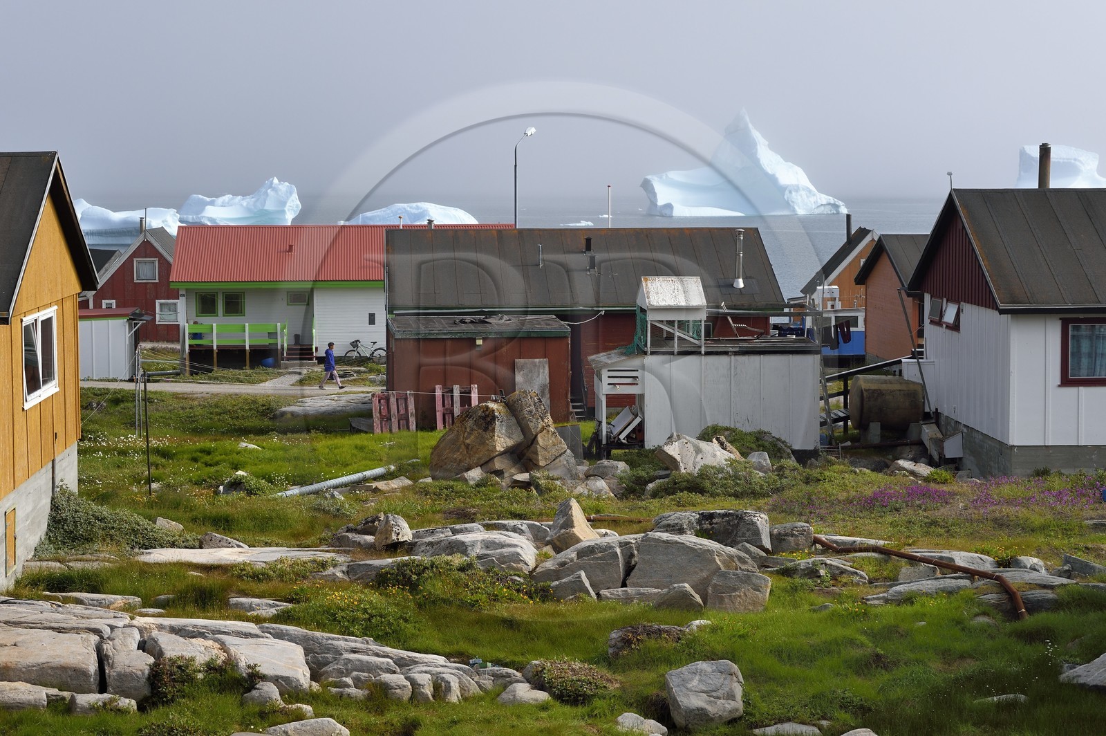 Groenland, cote ouest, Ile de Disko, maisons du village de Qeqertarsuaq et icebergs en arrière plan