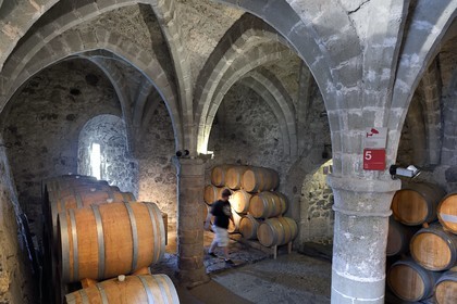Suisse, Canton de Vaud, Veytaux, chateau Chillon sur les rives du lac Léman, les souterrains du château soutenues par de voûtes gothiques ont été utilisés comme prison puis comme lieu de stockage