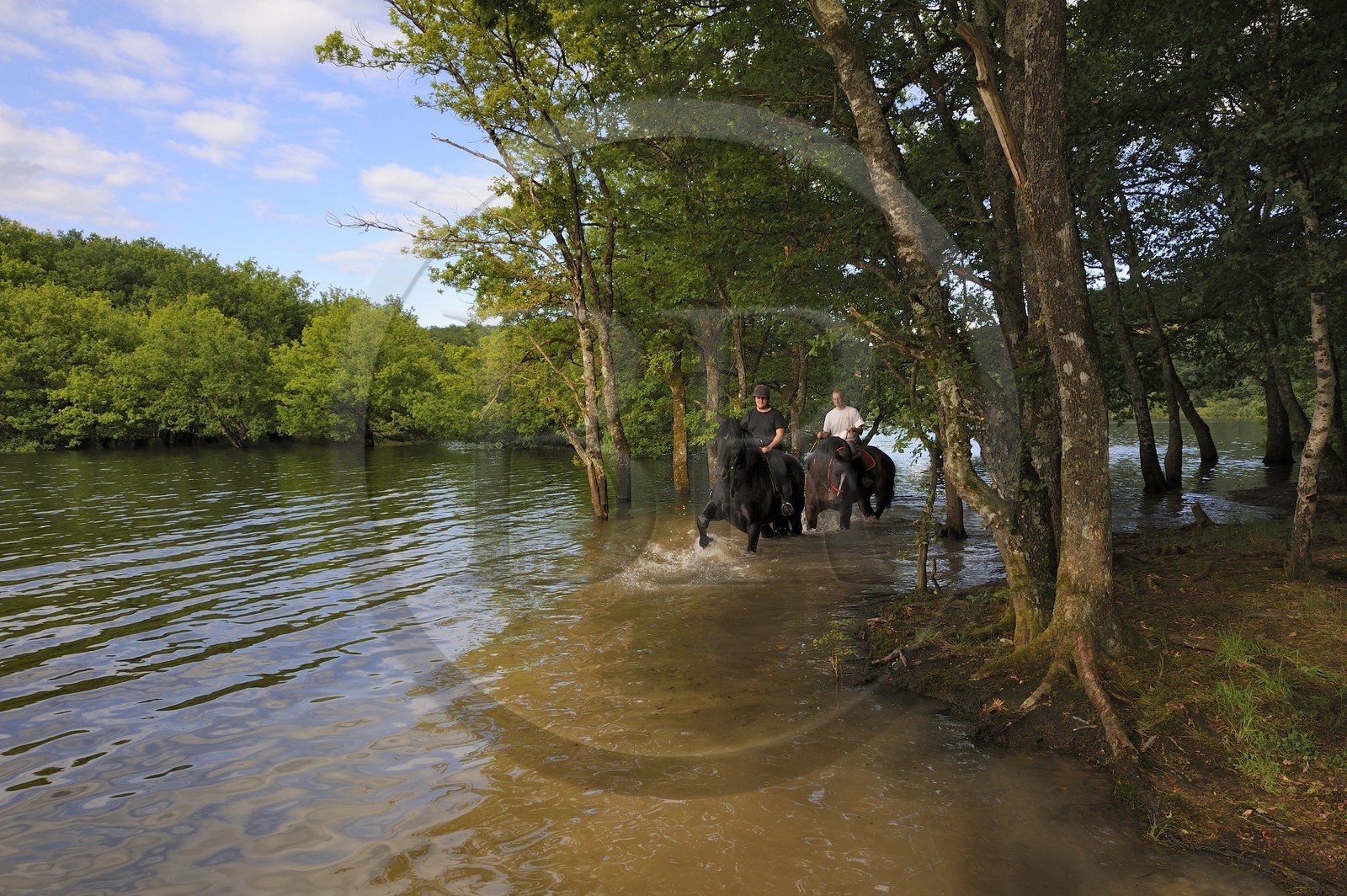 France, Nièvre (58), lac de Pannecière, découverte équestre du lac