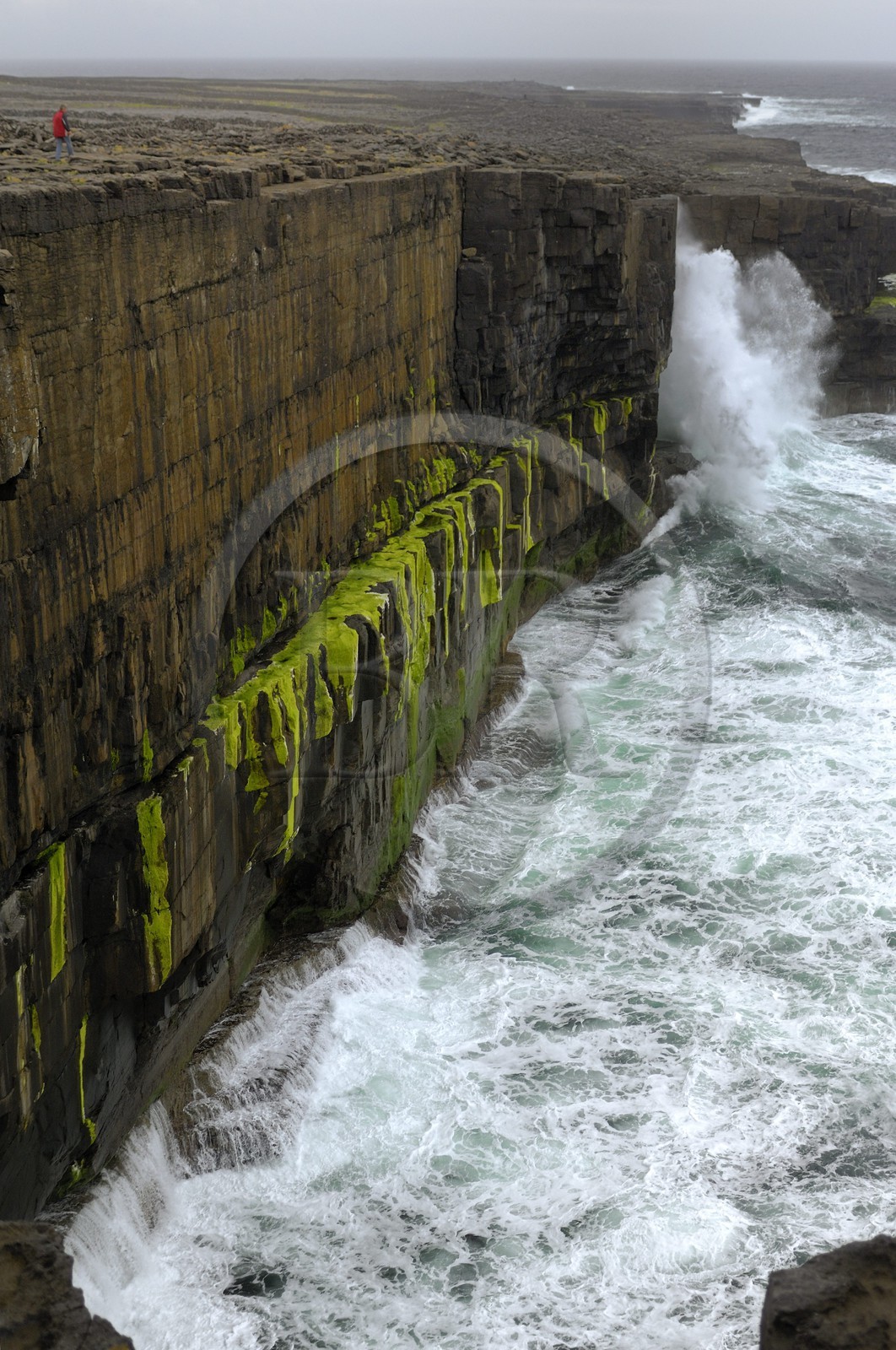 Irlande, Comté de Galway, Aran Islands, Inishmaan, les falaises au sud de l'ile