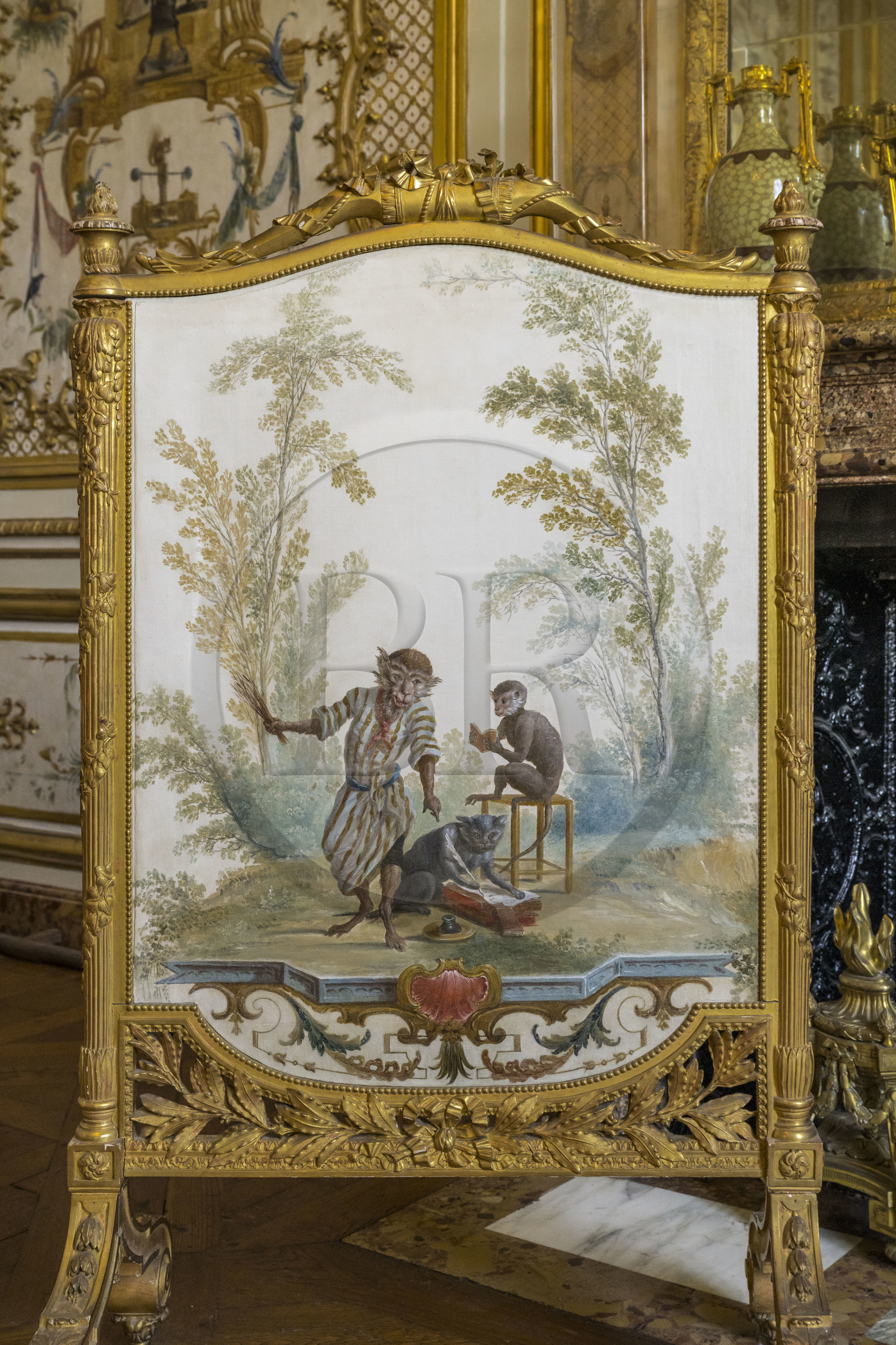 France, Oise (60), Chantilly, le chateau de Chantilly, la Grande Singerie