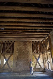 France, Allier (03), ancienne province du Bourbonnais, Besson, chateau de Fourchaud (XIVe siècle au XVIe siècle) appartenant aujourd'hui aux descendants des Bourbon-Parme, le Prince Charles Henri de Lobkowicz sous la charpente