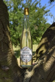 France, Meuse (55), Parc régional de Lorraine, Cotes de Meuse, Combres-sous-les-cotes, Domaine de Muzy, bouteille d'eau-de-vie (schnaps) de mirabelle