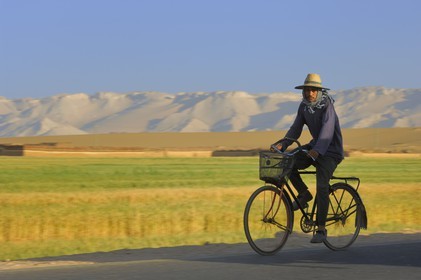 Egypte, désert libyque, oasis de Dakhla, travaux des champs