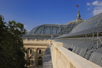 France, Paris (75), le Grand Palais, la coupole vitrée