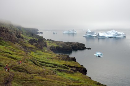 Groenland, cote ouest, Ile de Disko, Qeqertarsuaq, randonneurs sur la côte et icebergs dans la brume en arrière plan