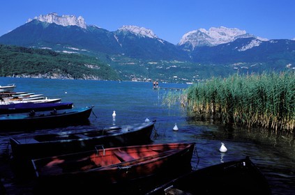 France, Haute-Savoie (74), bords du lac d'Annecy à Saint-Jorioz, barques et roseaux