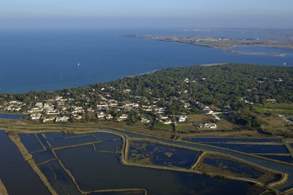 France, Charente-Maritime (17), ile de Ré, les Portes-en-Ré, marais du Fier d'Ars et bois de Trousse-Chemise (vue aérienne)