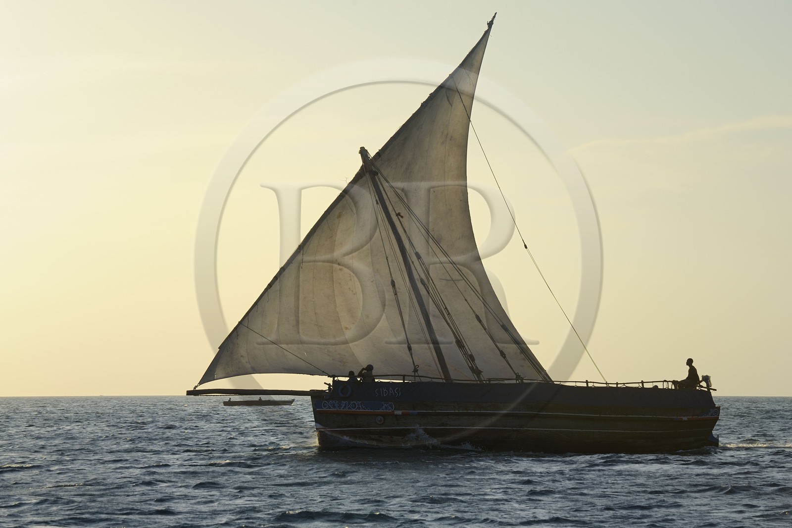 Tanzanie, archipel de Zanzibar, île de Unguja (Zanzibar), côte ouest, un dhow (boutre traditionnel)