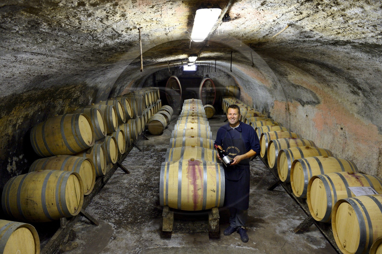 France, Meurthe-et-Moselle (54), Bruley, tonneaux de vin des Côtes de Toul dans les caves du domaine Laroppe, Vincent Laroppe