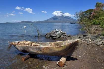 Nicaragua, Ile d'Ometepe sur le lac Nicaragua, village de Merida, aigrette prenant son envol au dessus d'une pirogue taillée dans la masse et le volcan Conception (1610 m) en arrière plan