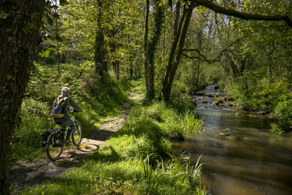 France, Vendée (85), Saint-Laurent-sur-Sèvre, randonnée cycliste sur la piste de la véloroute Vendée Vélo Tour, passage de la forêt de la Barbinière