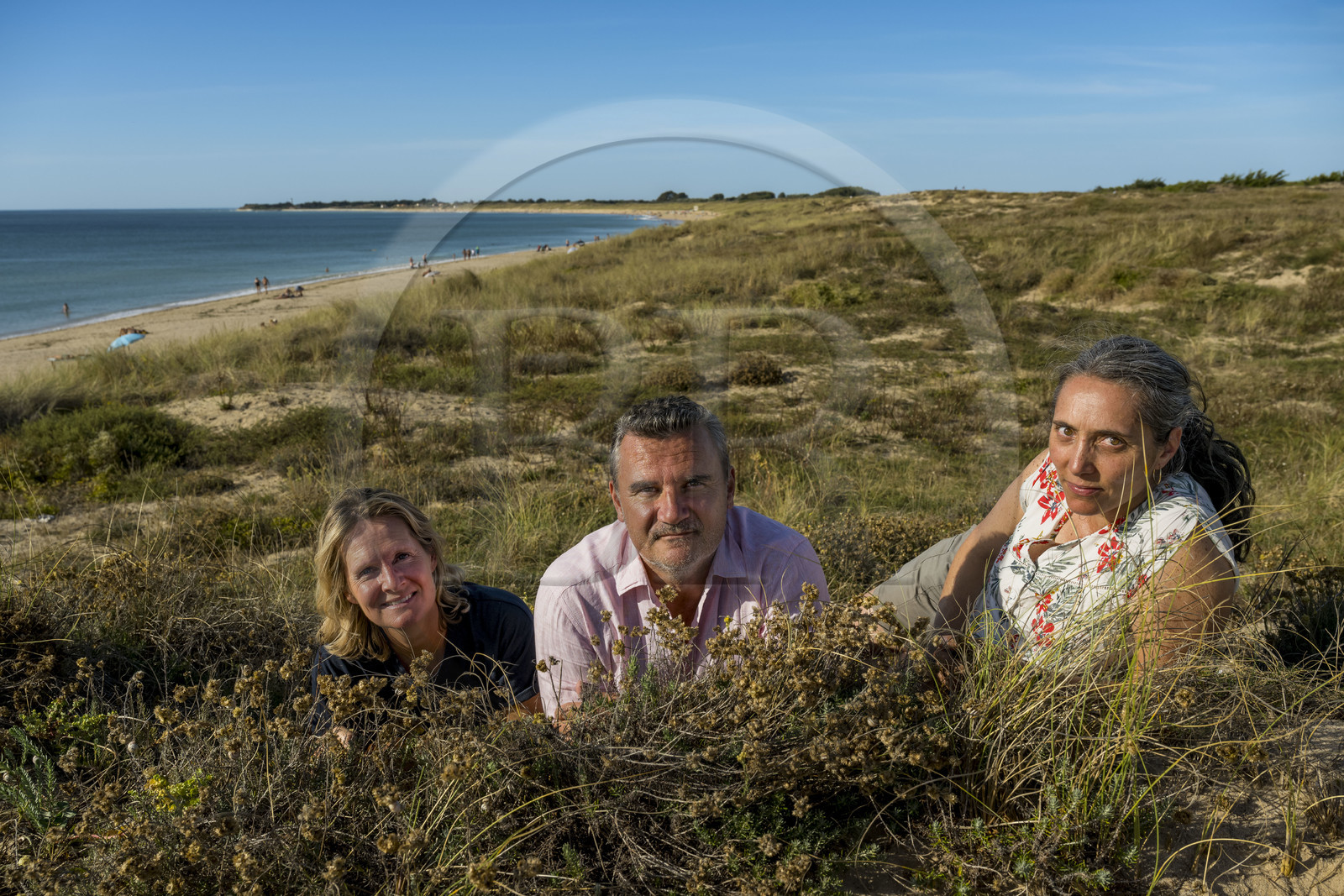 France, Charente-Maritime (17), Ile d'Oléron, Saint-Georges-d'Oléron, plage de Chaucre, l’ingénieur agronome Ethel Gauthier à droite avec Anne-Cécile et Christophe Amigorena les créateurs du Gin Melifera, immortelles des dunes (helichrysum stoechas) au premier plan