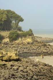 France, Charente-Maritime (17), Ile d'Aix, pêche à la treuille (pour les crevettes) plage des Sables Jaunes