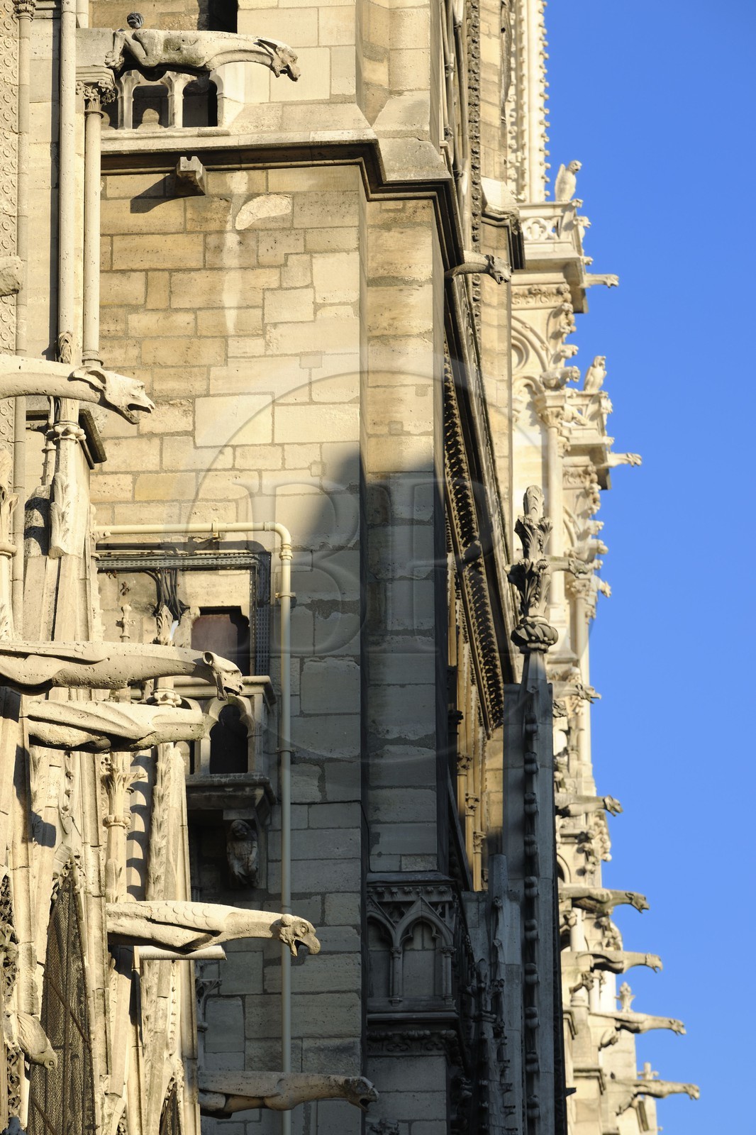 France, Paris (75), Ile de la Cité, cathédrale Notre-Dame de Paris, gargouilles de la façade nord