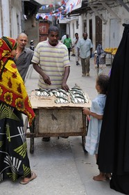 Tanzanie, archipel de Zanzibar, île de Unguja (Zanzibar), ville de Zanzibar, quartier Stone Town, classé Patrimoine Mondial de l' UNESCO, vendeur ambulant de poisson dans une ruelle de la vieille ville dans le quartier de Shangani
