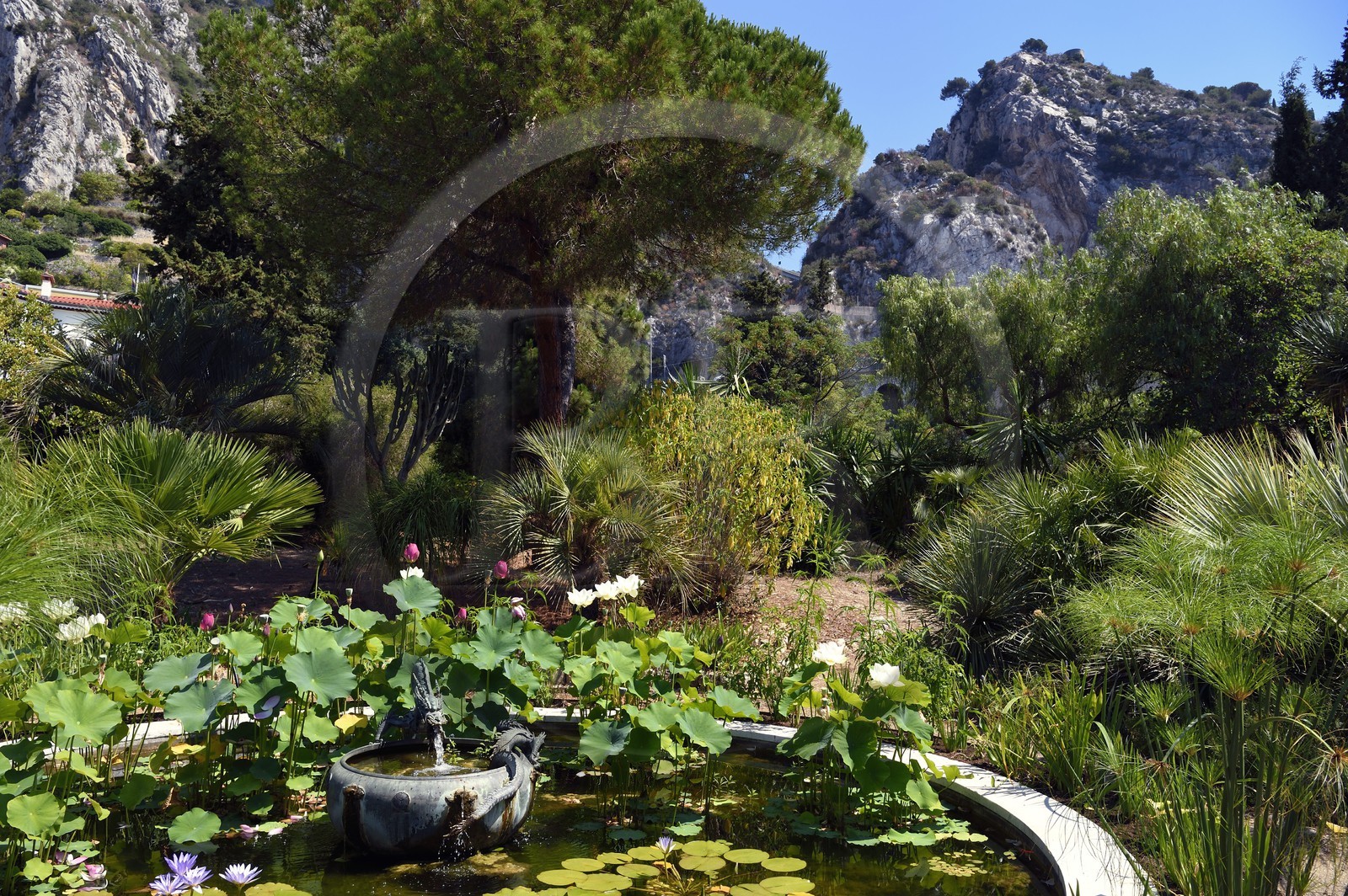 France, Alpes-Maritimes (06), Menton, quartier de Garavan, le jardin de Maria Serena, le bassin de la Fontaine au Dragon (ancienne fontaine japonaise qui a appartenue à un shogun)