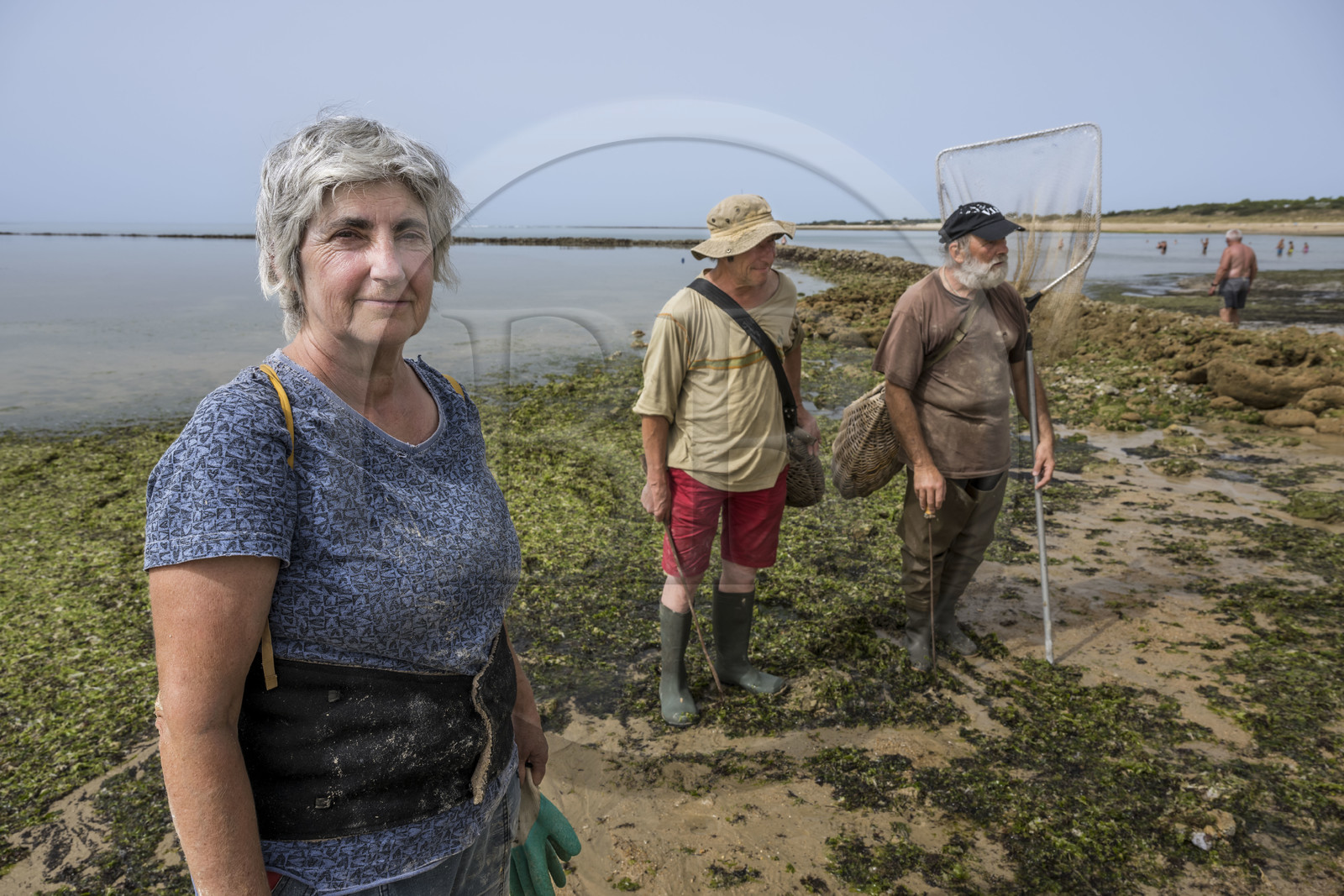 France, Charente-Maritime (17), Ile d'Oléron, Saint-Georges-d'Oléron, plage des Sables Vignier à marée basse, concessionnaires mareyants de l'écluse à poissons des Basses, la mareyant Francine Fèvre cheffe de la Concession Laure Brégaud