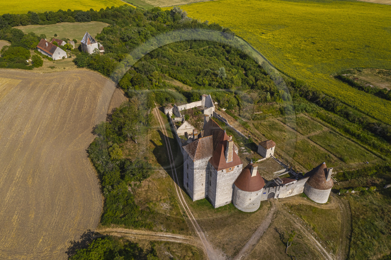 France, Allier (03), ancienne province du Bourbonnais, Besson, chateau de Fourchaud chateau de Fourchaud (XIVe siècle au XVIe siècle) appartenant aujourd'hui aux descendants des Bourbon-Parme (vue aérienne)