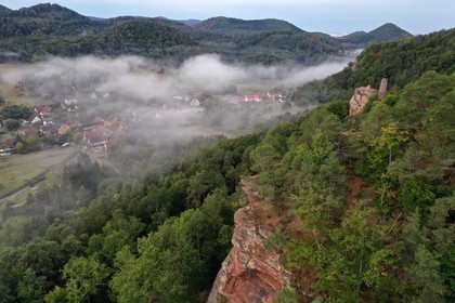 France, Bas-Rhin (67), Parc naturel r
