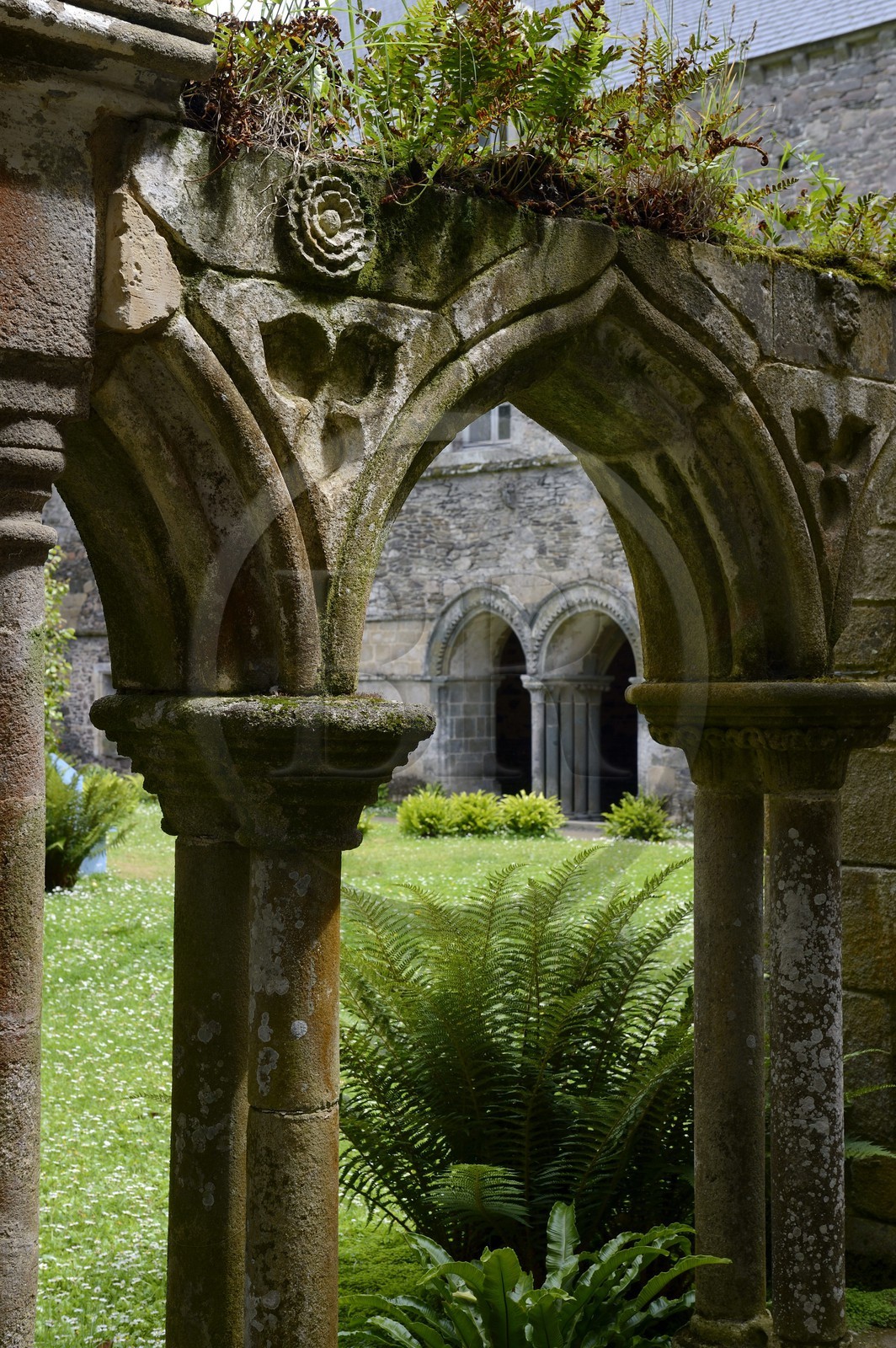 France, Côtes-d'Armor (22), étape sur le chemin de Saint-Jacques de Compostelle, Paimpol, abbaye de Beauport du XIIIe siècle, le cloitre