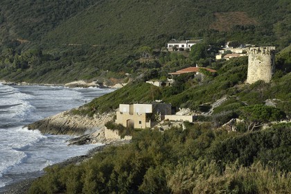 France, Haute-Corse (2B), la tour génoise de Farinole