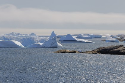 Groenland, fjord de Nanortalik au sud du pays, icebergs