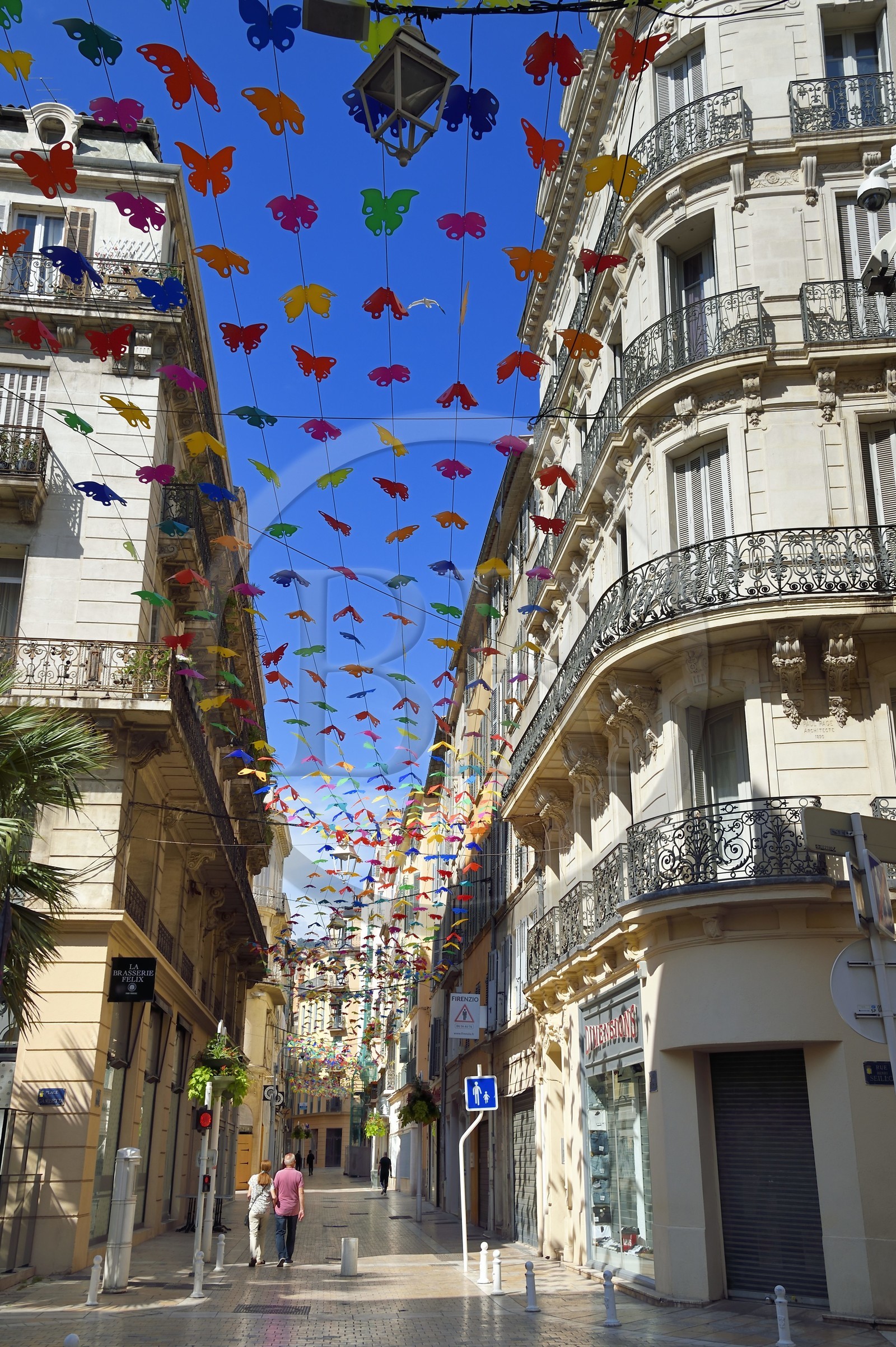 France, Var (83), Toulon, la rue d'Alger artère du centre-ville