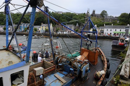 Royaume-Uni, Ecosse, Highland, Hébrides intérieures, Ile de Mull, port de Tobermory