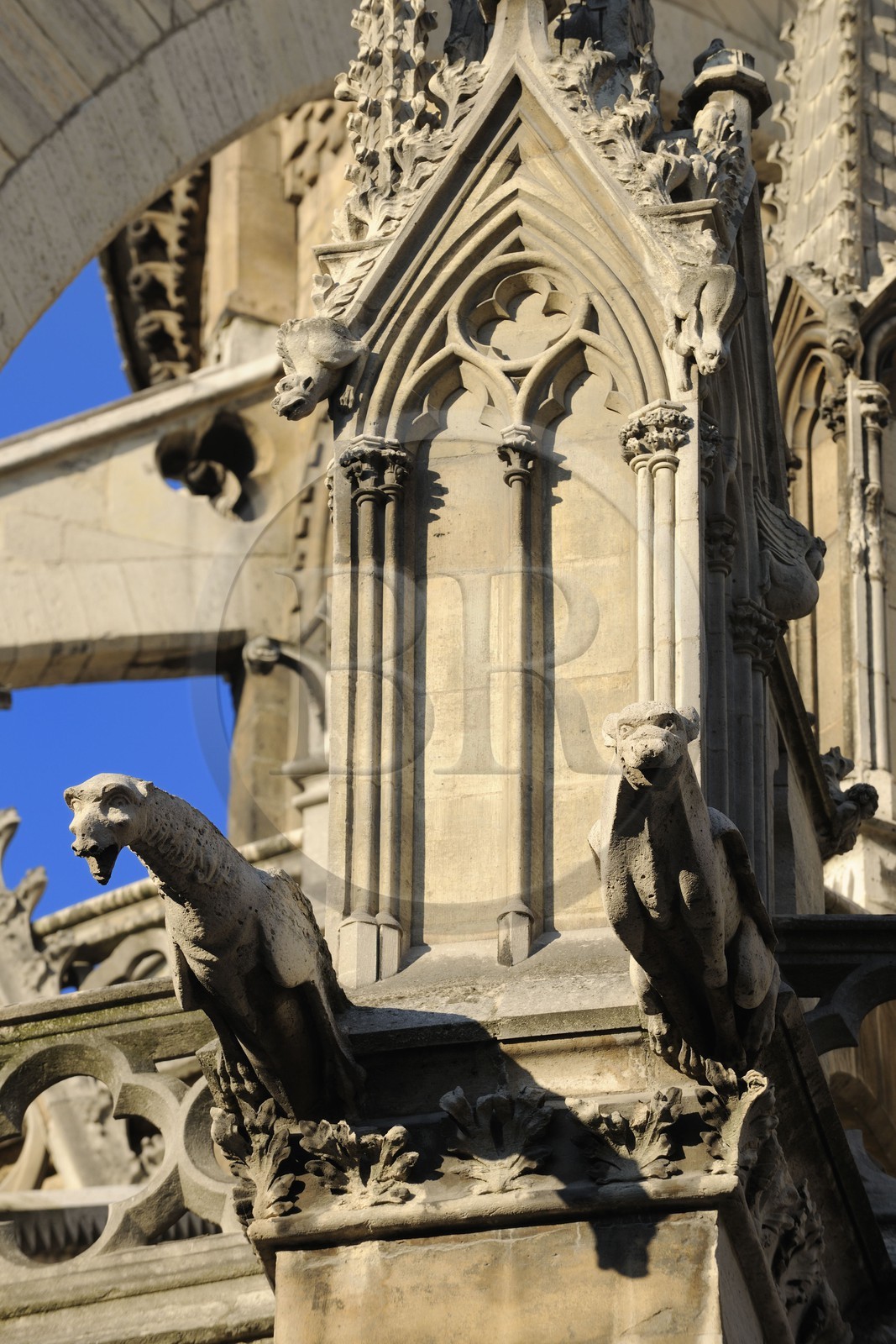 France, Paris (75), Ile de la Cité, cathédrale Notre-Dame de Paris, gargouilles de la façade nord