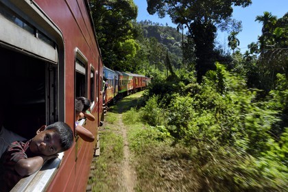 Sri Lanka, Province d'Uva, trajet en train dans la région montagneuse de la culture du thé entre Badulla et Ella