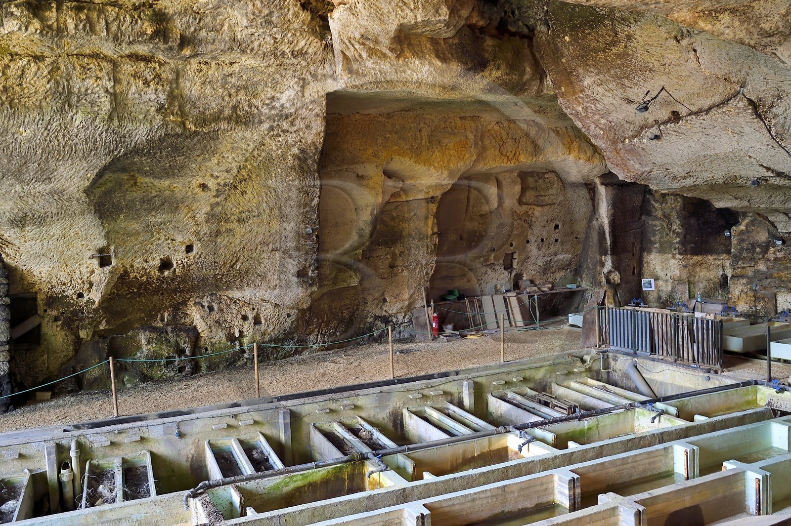 France, Dordogne (24), Brantôme, l'abbaye bénédictine Saint-Pierre de Brantôme, vestiges du premier monastère aménagé dans les grottes au pied de la falaise, pisciculture de truites fario