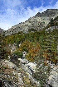 France, Haute-Corse (2B), Vivario, GR 20, étape entre le refuge de l'Onda et Vizzavona, foret de Vizzavona, les cascades des anglais, groupe de cascades dans la vallée de l'Agnone au pied du Monte d'Oro