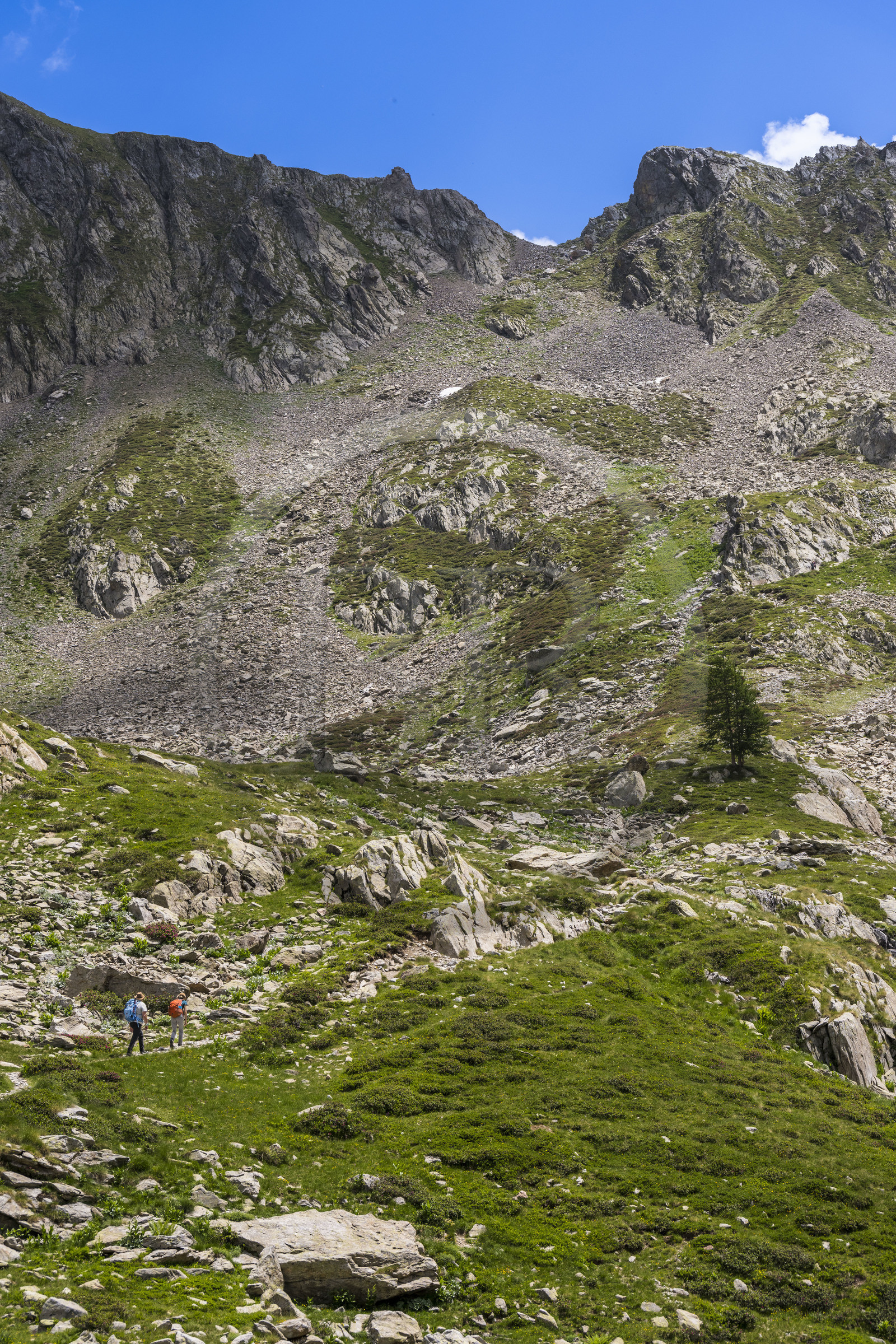 France, Alpes-Maritimes (06), parc national du Mercantour, Haute-Vésubie, Saint-Martin-Vésubie, Val du Haut Boréon, randonneurs sur le sentier allant au col du Pas des Ladres (en arrière plan au sommet)