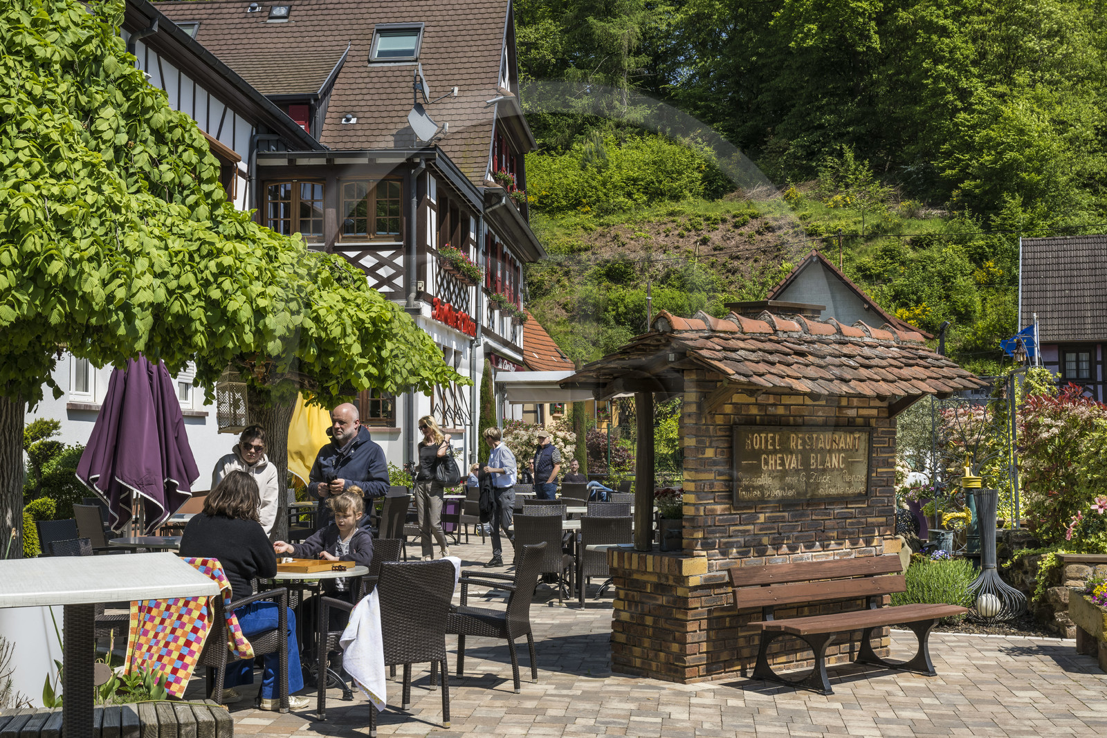 France, Bas-Rhin (67), Parc naturel régional des Vosges du Nord, Niedersteinbach, terrasse de l'Hotel restaurant le Cheval Blanc