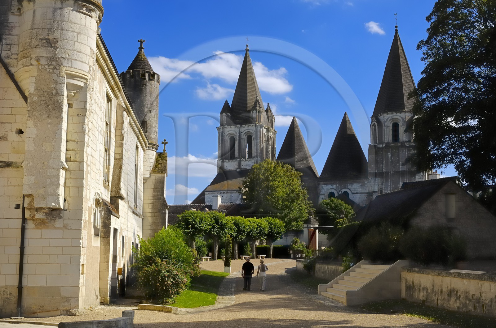 France, Indre-et-Loire (37), Loches, la collégiale Saint-Ours