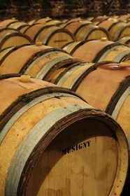 France, Côte d'Or (21), Gevrey-Chambertin, cave du domaine Drouhin-Laroze