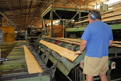 France, Moselle (57), scierie Abreschviller Sciages