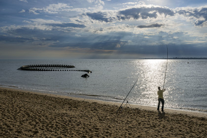 Saint-Brevin-les-Pins, Mindin, collection d'art contemporain à ciel ouvert Estuaire, le Serpent d'Océan réalisé par l'artiste chinois Huang Yong Ping représentant un long squelette de serpent de mer, installé sur l'estran et apparaissant au rythme des marées