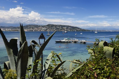 France, Alpes-Maritimes (06), Cannes, Iles de Lérins, ponton du port de l'IIe Sainte-Marguerite, vue sur la côte et Cannes