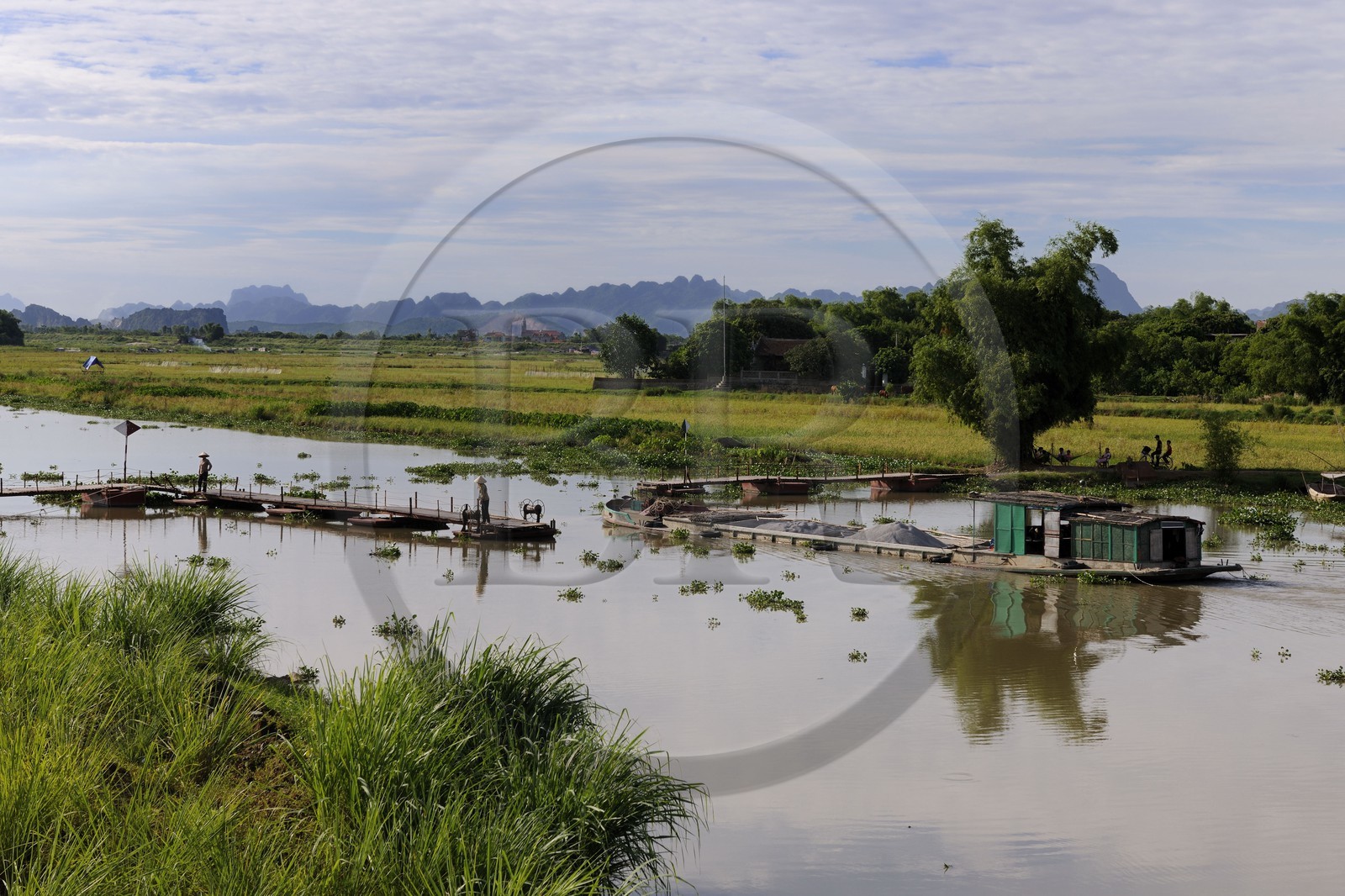 Vietnam, province de Ninh Binh, péniche qui passe un pont flottant