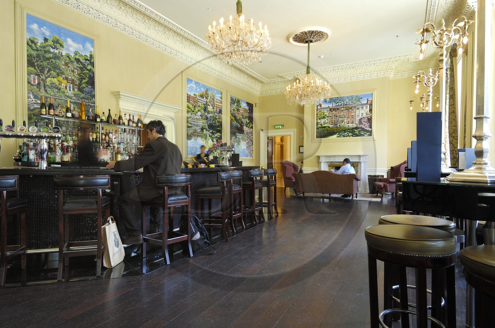 Irlande, Comté de Dublin, Dublin, le Shelbourne Hotel, No. 27 Bar & Lounge