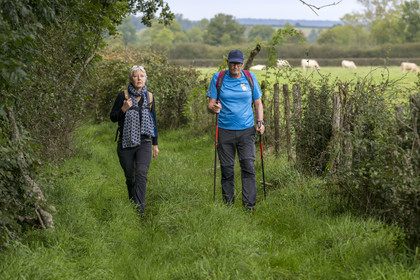 France, Yonne (89), Montréal (Bourgogne), randonneurs sur un chemin le long de la rivière Serein