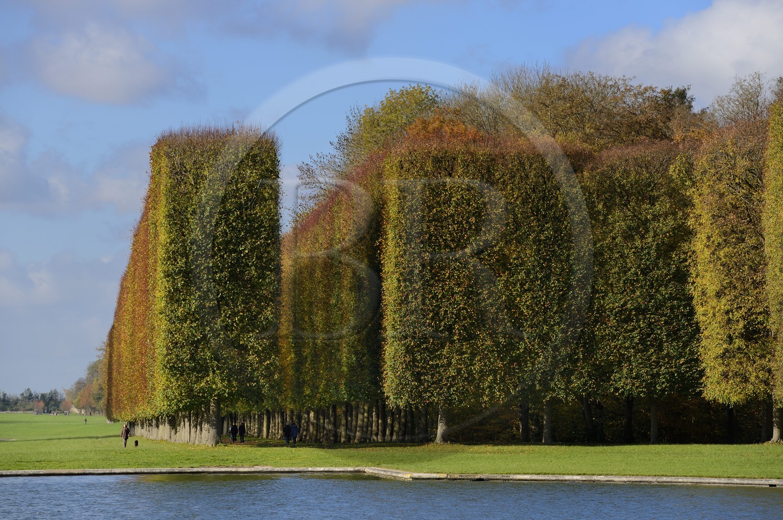 France, Yvelines (78), parc du château de Versailles, classé Patrimoine Mondial de l'UNESCO, le Grand Canal