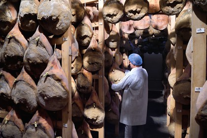 France, Pyrénées-Atlantiques (64), Pays-Basque, vallée des Aldudes, le Séchoir Collectif des Aldudes assure une prestation de séchage et l'affinage de jambons, zone de l'affinage