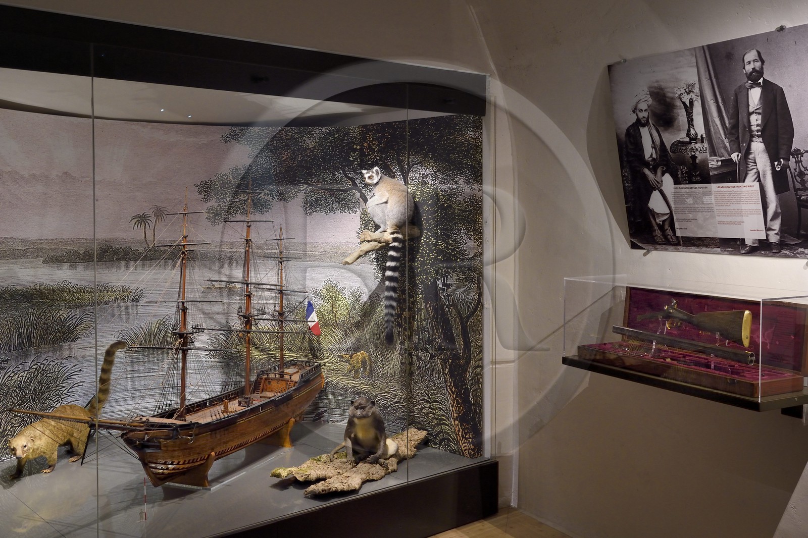 France, Var (83), Saint-Tropez, citadelle du XVIe siècle, musée d'Histoire maritime tropézienne, salle consacrée au capitaine Annibal Bérard