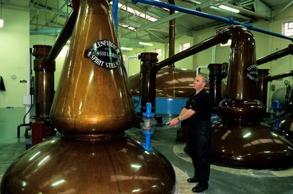 Royaume-Uni, Ecosse, Moray, Dufftown, Glenfiddich distillery, alambics en cuivre traditionnel pour la double distillation du whisky